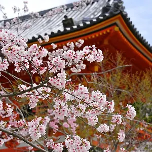 Sakura Gion North Appart hôtel